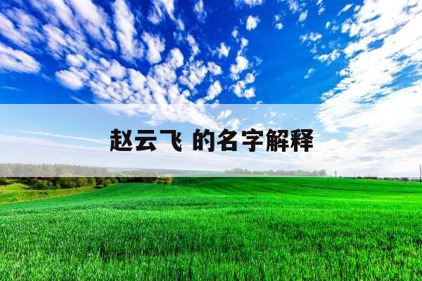 赵云飞 的名字解释