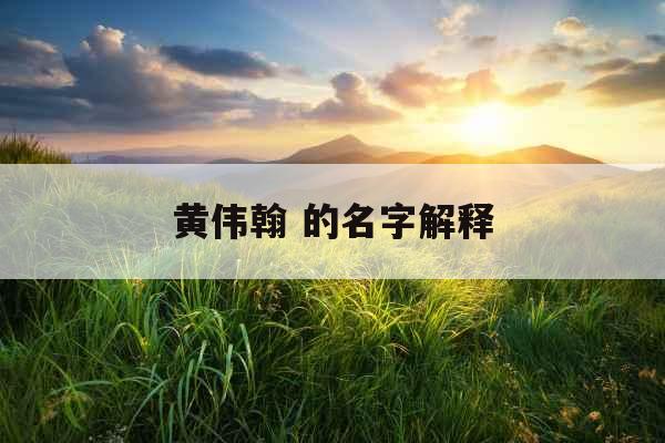 黄伟翰 的名字解释