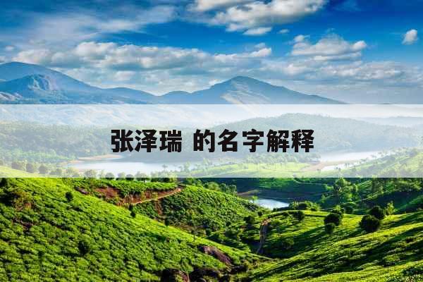 张泽瑞 的名字解释