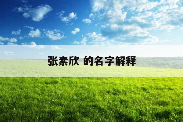 张素欣 的名字解释