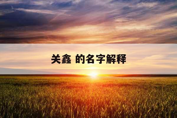 关鑫 的名字解释