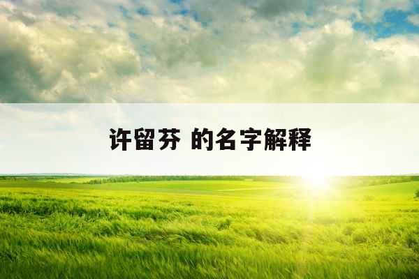 许留芬 的名字解释