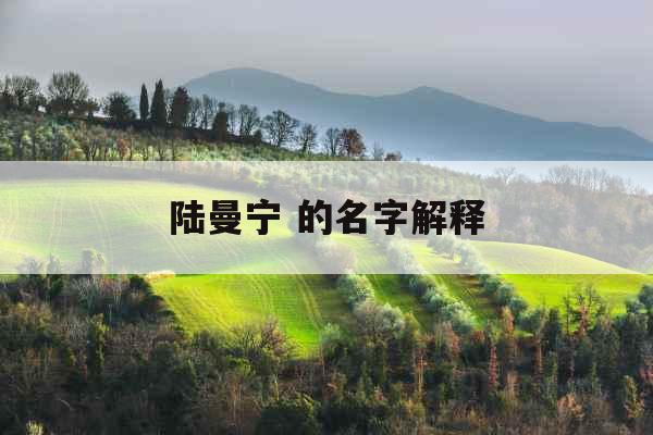 陆曼宁 的名字解释