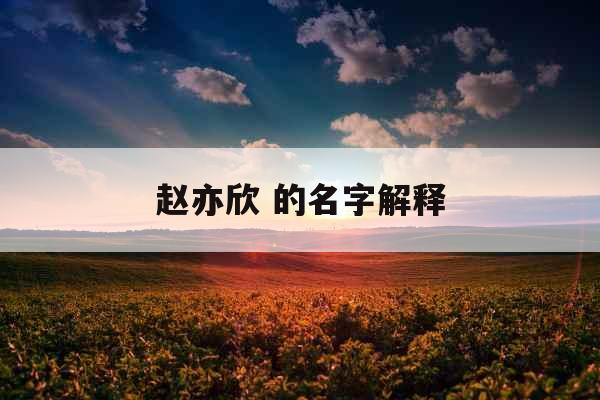 赵亦欣 的名字解释