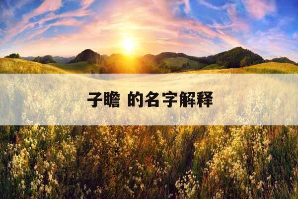 子瞻 的名字解释