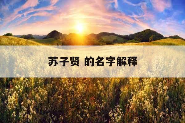 苏子贤 的名字解释