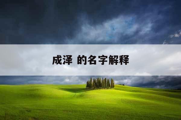 成泽 的名字解释