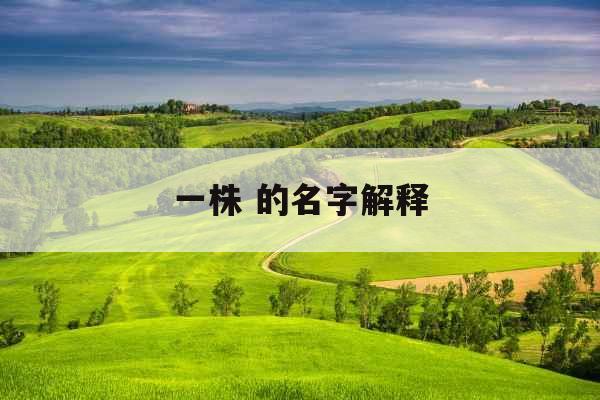 一株 的名字解释 一株 的名字解释