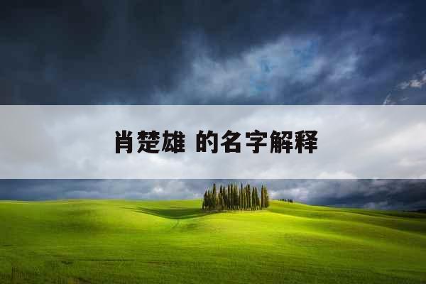 肖楚雄 的名字解释
