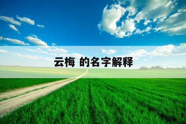 云梅 的名字解释