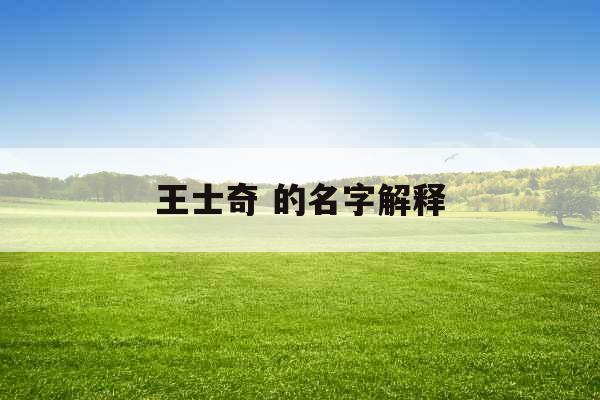 王士奇 的名字解释
