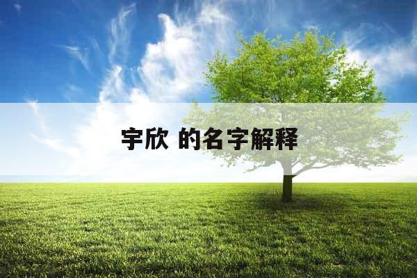 宇欣 的名字解释