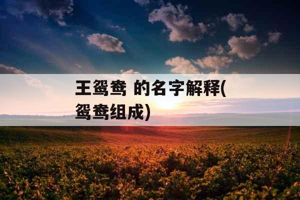 王鸳鸯 的名字解释(鸳鸯组成) 王鸳鸯 的名字解释(鸳鸯组成)