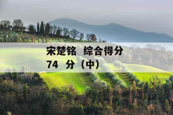 宋楚铭  综合得分 74  分（中） 