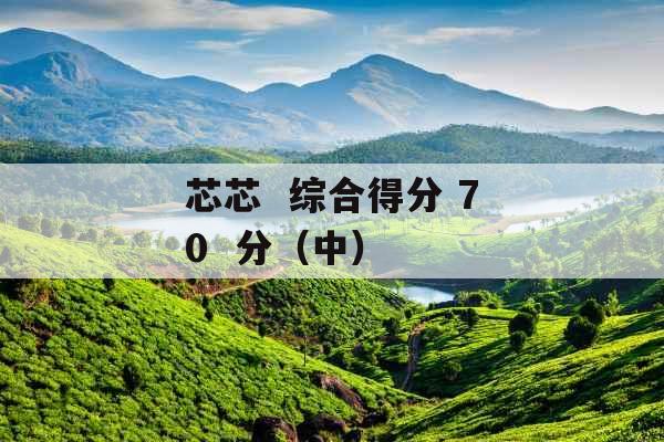 芯芯  综合得分 70  分（中） 