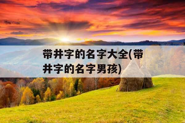 带井字的名字大全(带井字的名字男孩)