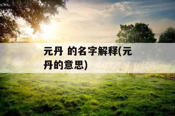 元丹 的名字解释(元丹的意思)