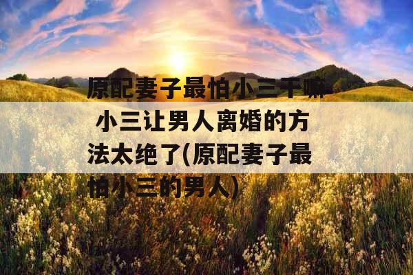 原配妻子最怕小三干嘛 小三让男人离婚的方法太绝了(原配妻子最怕小三的男人)