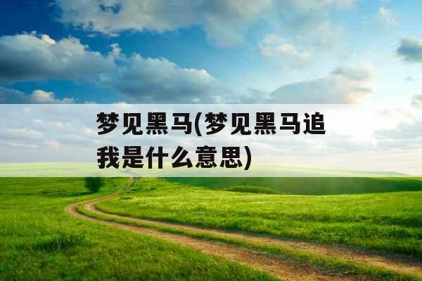 梦见黑马(梦见黑马追我是什么意思)