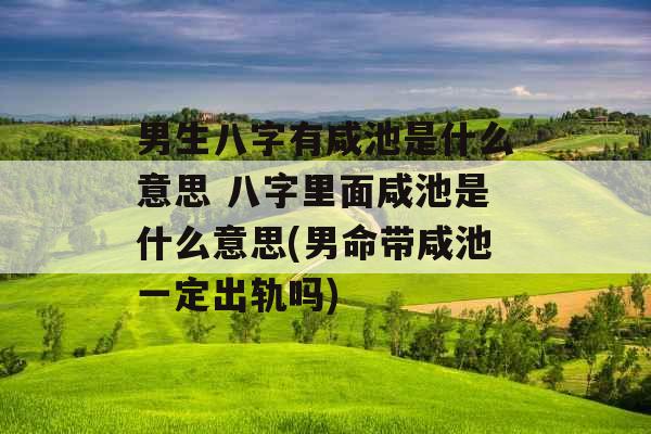 男生八字有咸池是什么意思 八字里面咸池是什么意思(男命带咸池一定出轨吗)