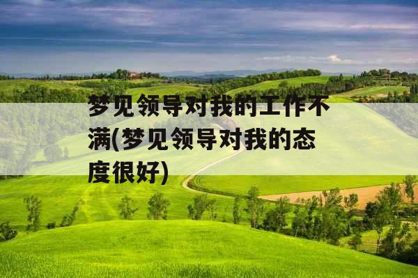 梦见领导对我的工作不满(梦见领导对我的态度很好)