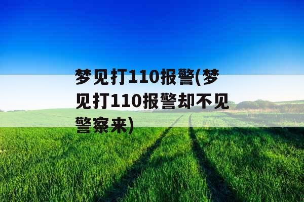 梦见打110报警(梦见打110报警却不见警察来)