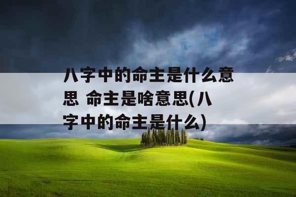 八字中的命主是什么意思 命主是啥意思(八字中的命主是什么)