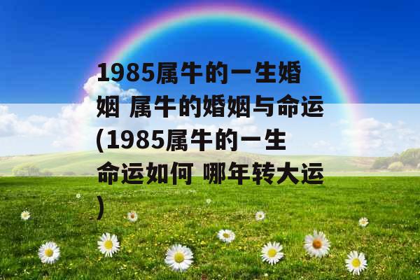 1985属牛的一生婚姻 属牛的婚姻与命运(1985属牛的一生命运如何 哪年转大运)