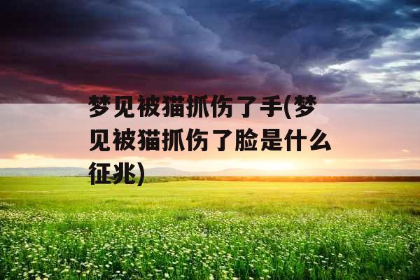 梦见被猫抓伤了手(梦见被猫抓伤了脸是什么征兆)
