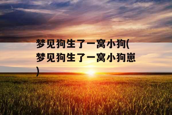 梦见狗生了一窝小狗(梦见狗生了一窝小狗崽)