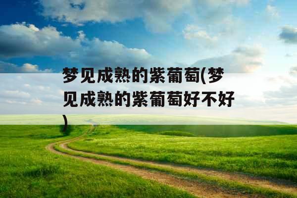 梦见成熟的紫葡萄(梦见成熟的紫葡萄好不好)