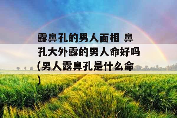 露鼻孔的男人面相 鼻孔大外露的男人命好吗(男人露鼻孔是什么命)
