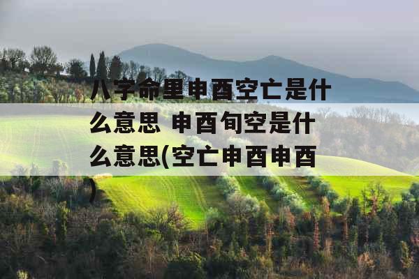 八字命里申酉空亡是什么意思 申酉旬空是什么意思(空亡申酉申酉)