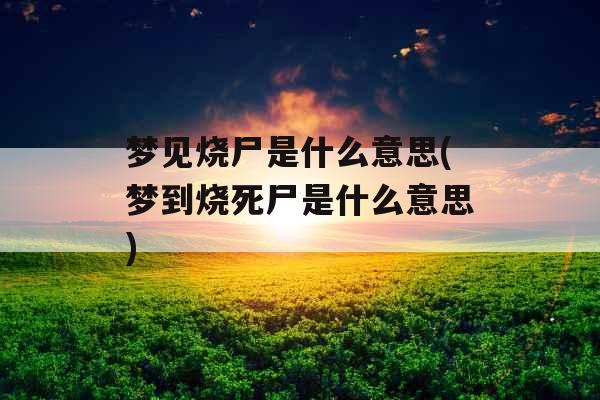 梦见烧尸是什么意思(梦到烧死尸是什么意思)