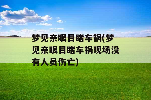 梦见亲眼目睹车祸(梦见亲眼目睹车祸现场没有人员伤亡)