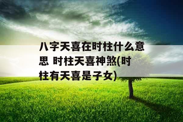 八字天喜在时柱什么意思 时柱天喜神煞(时柱有天喜是子女) 八字天喜在时柱什么意思 时柱天喜神煞(时柱有天喜是子女)