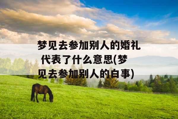 梦见去参加别人的婚礼 代表了什么意思(梦见去参加别人的白事)