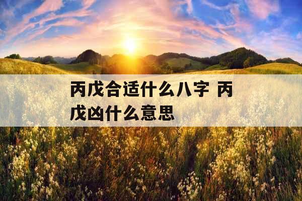 丙戊合适什么八字 丙戊凶什么意思