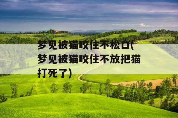 梦见被猫咬住不松口(梦见被猫咬住不放把猫打死了)