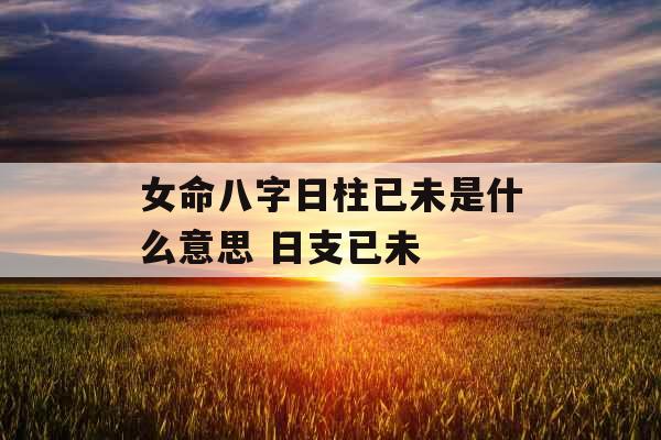 女命八字日柱已未是什么意思 日支已未