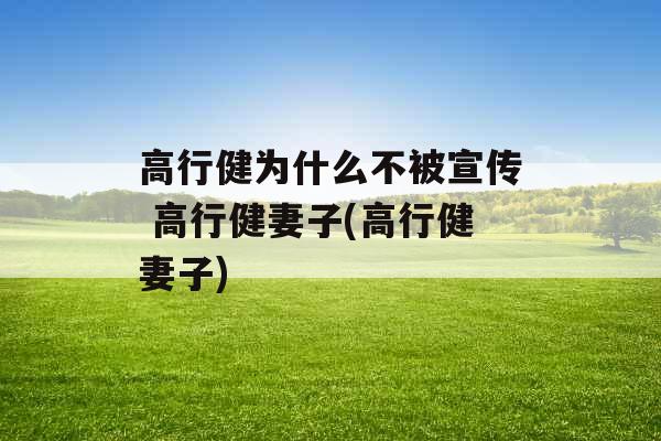 高行健为什么不被宣传 高行健妻子(高行健妻子)