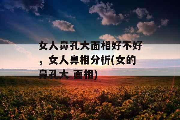女人鼻孔大面相好不好,女人鼻相分析(女的鼻孔大 面相)