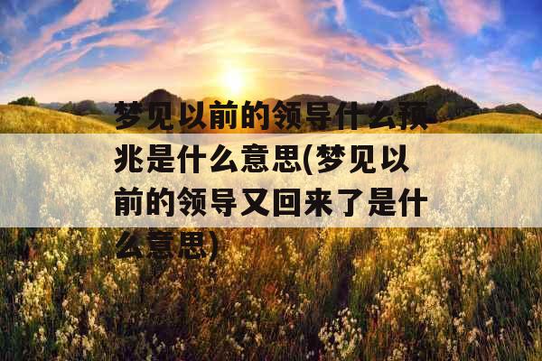 梦见以前的领导什么预兆是什么意思(梦见以前的领导又回来了是什么意思)