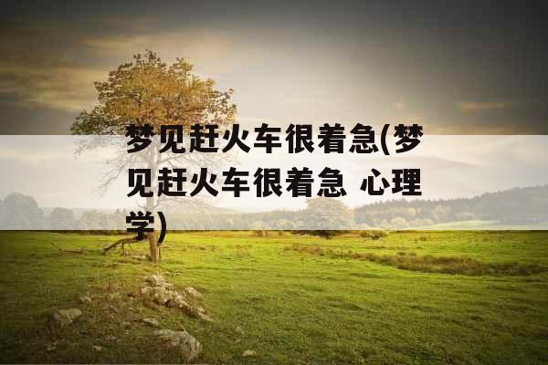 梦见赶火车很着急(梦见赶火车很着急 心理学)