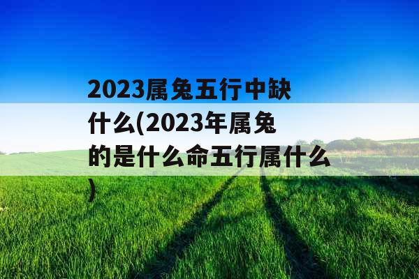 2023属兔五行中缺什么(2023年属兔的是什么命五行属什么)