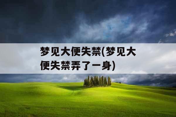 梦见大便失禁(梦见大便失禁弄了一身)