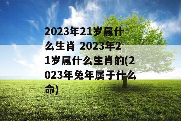2023年21岁属什么生肖 2023年21岁属什么生肖的(2023年兔年属于什么命)