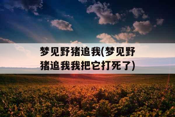 梦见野猪追我(梦见野猪追我我把它打死了) 梦见野猪追我(梦见野猪追我我把它打死了)