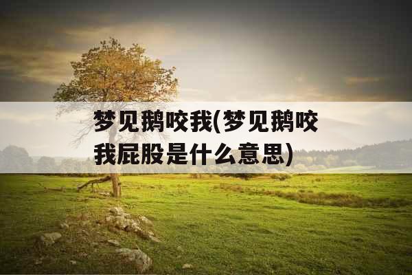 梦见鹅咬我(梦见鹅咬我屁股是什么意思)