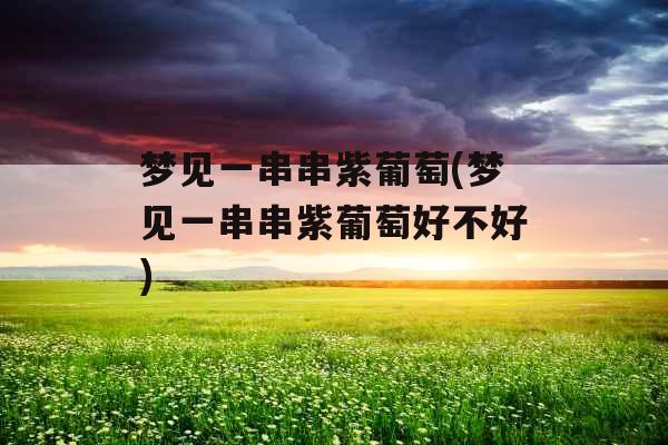 梦见一串串紫葡萄(梦见一串串紫葡萄好不好)